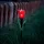 LED-es szolár tulipánlámpa - sárga / piros / rózsaszín - 31 cm - 24 db / kínáló