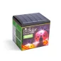   LED-es szolár lámpa - katica - hidegfehér - sárga / piros - 100 x 88 x 60 mm - 2 db / csomag