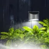 Szolár lámpa - fali - 10 x 5 x 8 cm - 4 fehér SMD LED