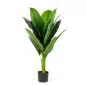 Műnövény dekoráció - colocasia - 100 cm