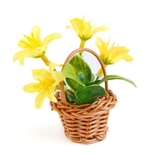 Műnövény dekoráció - mágneses - többféle - 7 x 4,7 x 4,7 cm