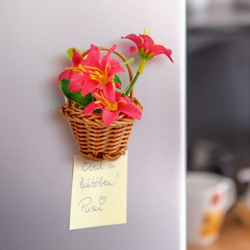 Műnövény dekoráció - mágneses - többféle - 7 x 4,7 x 4,7 cm