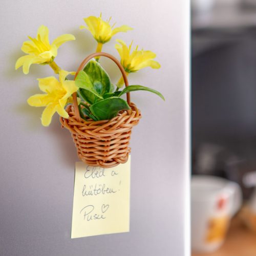 Műnövény dekoráció - mágneses - többféle - 7 x 4,7 x 4,7 cm