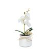 Műnövény dekoráció - orchidea - 3 féle - 32,5 cm