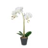 Műnövény dekoráció - orchidea - 2 féle - 54 cm