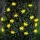 Szolár LED fényfüzér - méhecske - 2,4 m - 25 LED - melegfehér