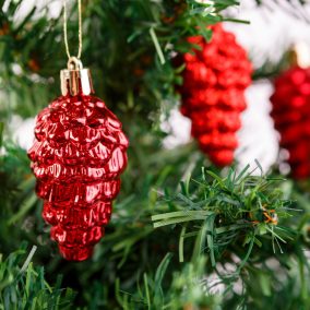   FamilyChristmas Karácsonyfadísz szett - piros toboz - 6 cm - 6 db / szett