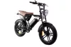 Ape Ryder Genon Ultra 2 Személyes Városi és Off-Road E-Bike pedelec/moped fekete