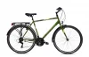 Capriolo Sunrise Man férfi trekking kerékpár Zöld 22"