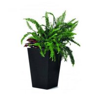 Virágcserép, kaspó