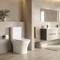   Nile monoblokkos kompakt WC hátsó kifolyással soft close ülőkével