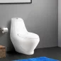   Coral Monoblokkos wc kagyló alsó kifolyással soft close ülőkével