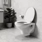 Roya fali WC ülőkével
