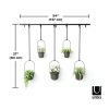 Umbra Triflora 5 Large Függő Virágtartó Fekete