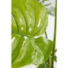 KARE Design Monstera Műnövény Dekoráció 110 cm