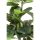 KARE Fiddle Leaf Műnövény Dekoráció 120 cm