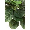 KARE Fiddle Leaf Műnövény Dekoráció 120 cm