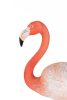 KARE Design Flamingo Road Kézműves Műgyanta Dekoráció Korall