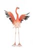 Kare Design Flamingo Road Fly Polimer Korall Dekoratív Szobor