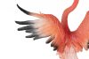 Kare Design Flamingo Road Fly Polimer Korall Dekoratív Szobor