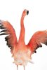 Kare Design Flamingo Road Fly Polimer Korall Dekoratív Szobor