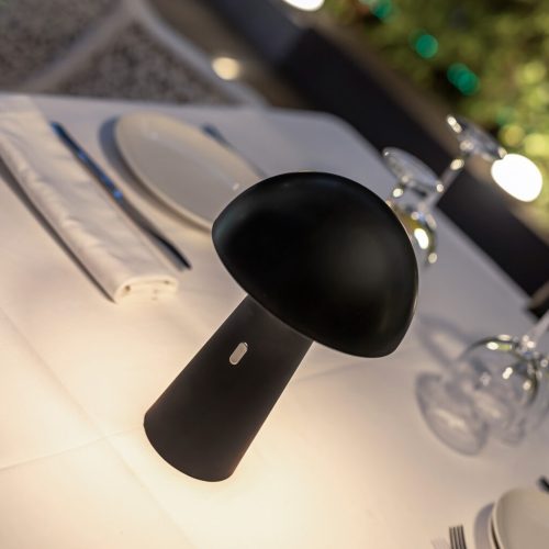 New Garden Shitake Vezeték Nélküli Asztali LED Lámpa Fekete