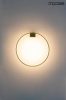 Moosee Circle Wall Arany Alumínium LED Fali Lámpa