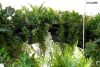 Moosee Gardens Wisteria LED Függőlámpa Művirág Fehér-Zöld Természetes