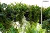 Moosee Gardens Wisteria LED Függőlámpa Művirág Fehér-Zöld Természetes