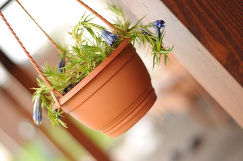 Agro Függő Virágcserép Terrakotta 27 cm