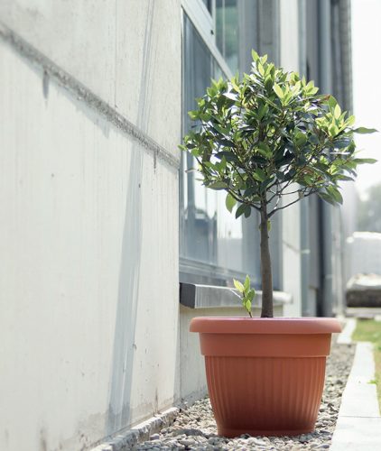Terra Klasszikus Terrakotta Kaspó 64 cm