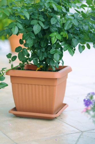 Terra Műanyag Virágtartó Alátét Terrakotta 41 cm